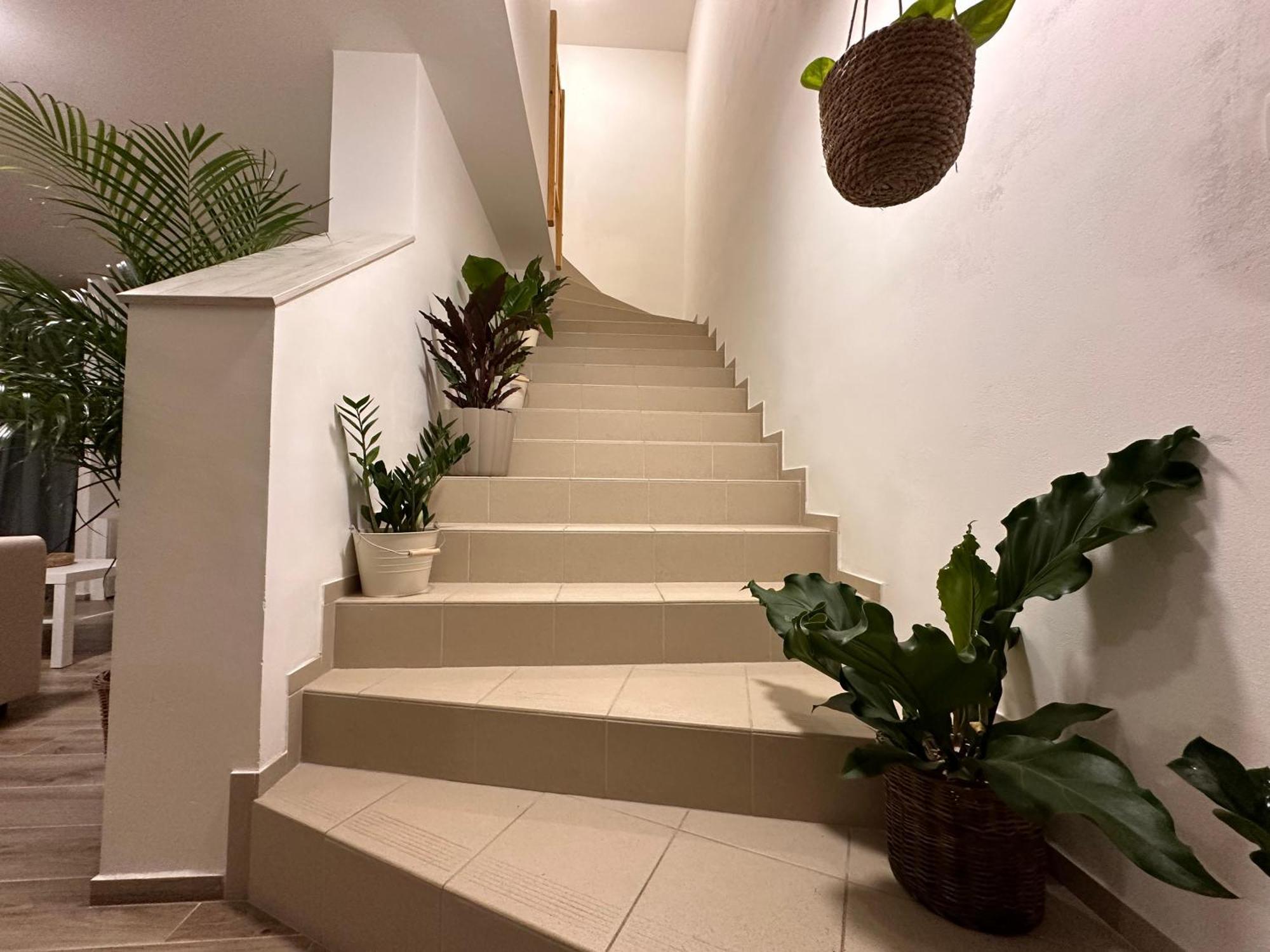 Apartmany Monastery Suites Zirec Dvůr Králové nad Labem Exteriör bild