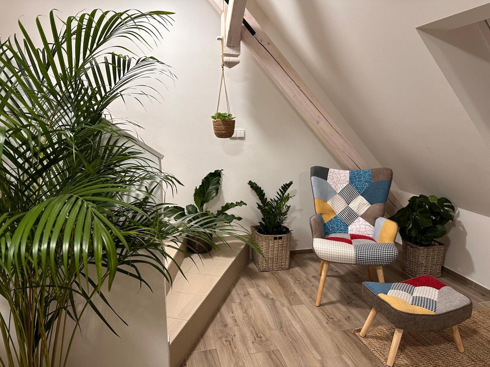 Apartmany Monastery Suites Zirec Dvůr Králové nad Labem Exteriör bild